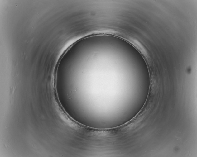 X0000093721044200710231128