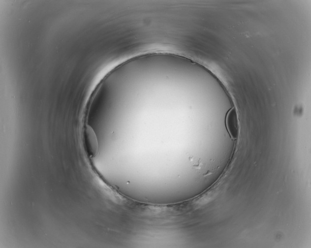 X0000093721056200710231128