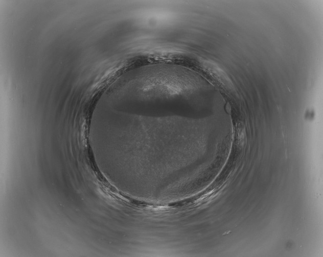 X0000093721060200710231127