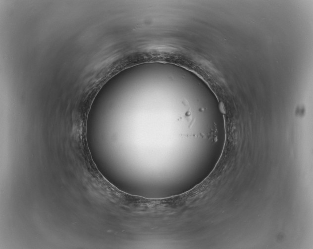 X0000093721061200710231127