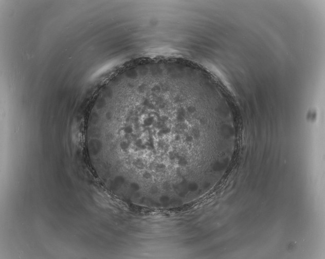 X0000093721063200710231127