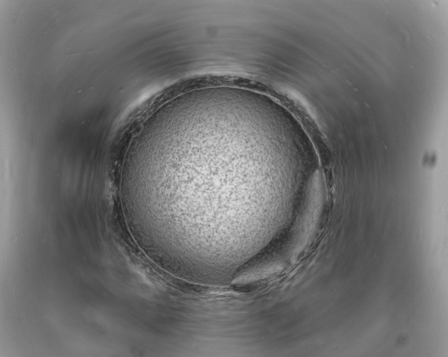 X0000093721064200710231127