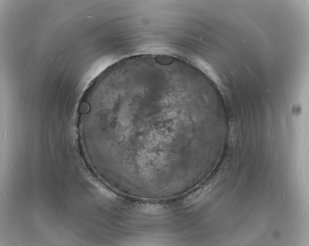 X0000093721071200710231127