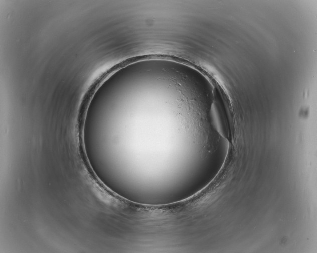 X0000093721072200710231127