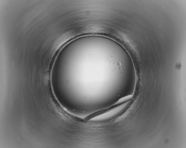 X0000093721073200710231127