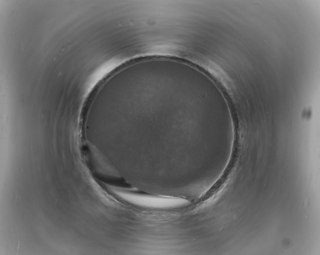 X0000093721077200710231127