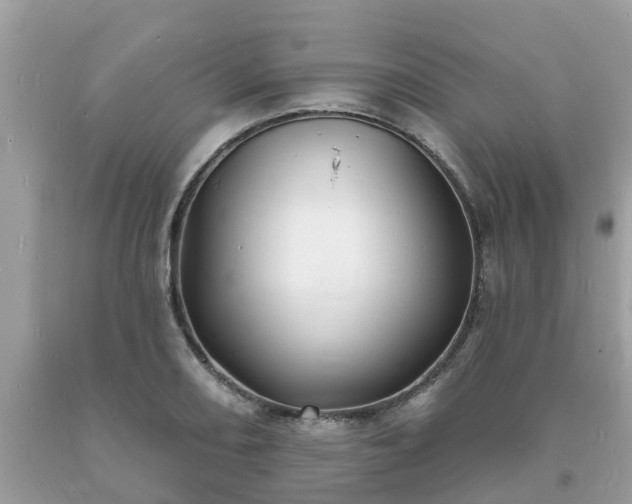 X0000093721082200710231127
