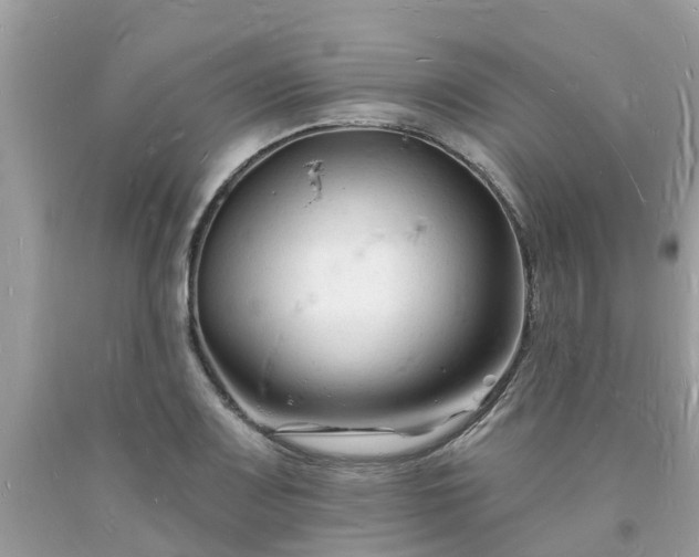 X0000093721083200710231127