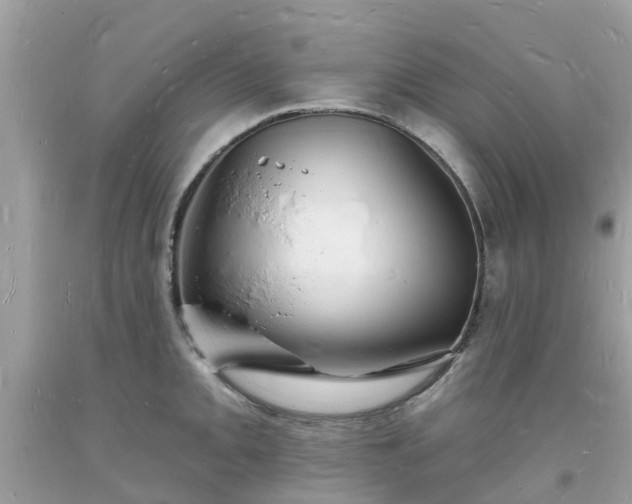 X0000093721093200710231127