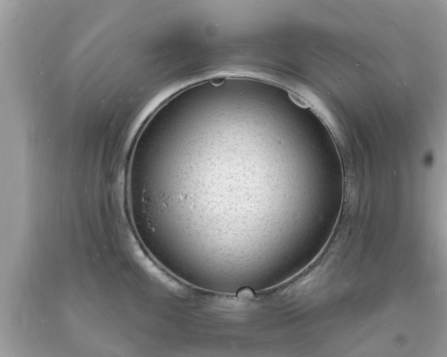 X0000093721100200710231127