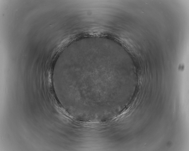 X0000093721106200710231126