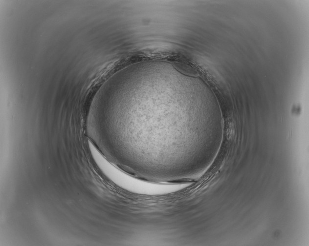 X0000093721108200710231126