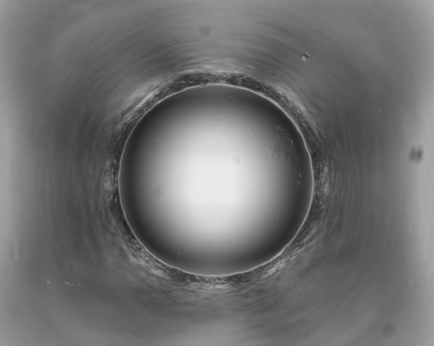 X0000093721110200710231126
