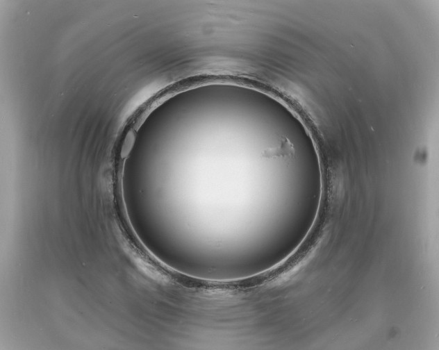 X0000093721114200710231126