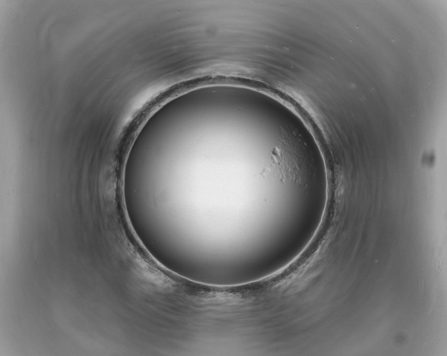 X0000093721115200710231126
