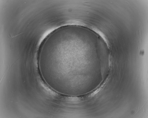 X0000093721120200710231127