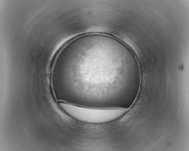 X0000093721124200710231127