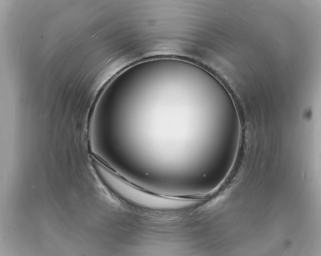 X0000093721129200710231127