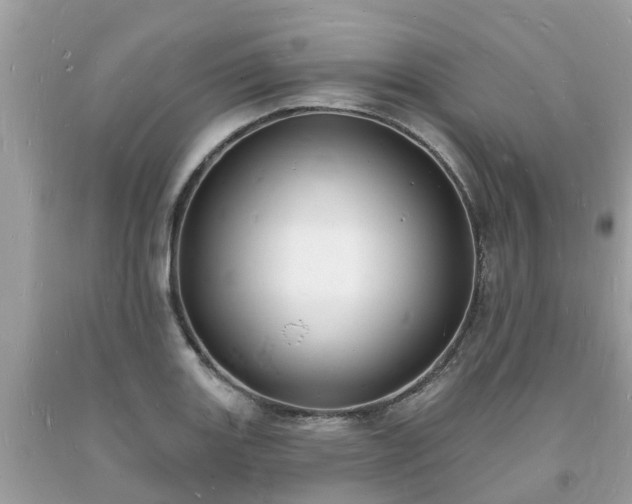 X0000093721131200710231127