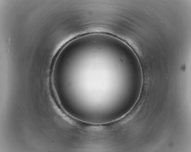 X0000093721134200710231127