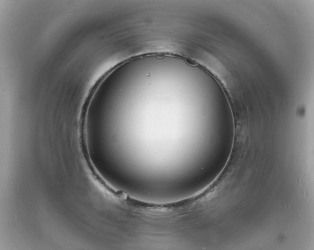 X0000093721135200710231127