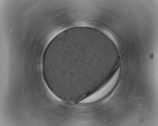 X0000093721141200710231127