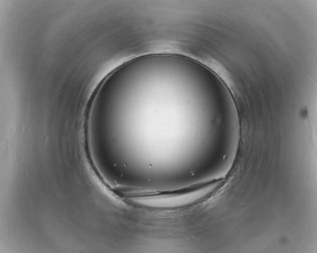 X0000093721142200710231127