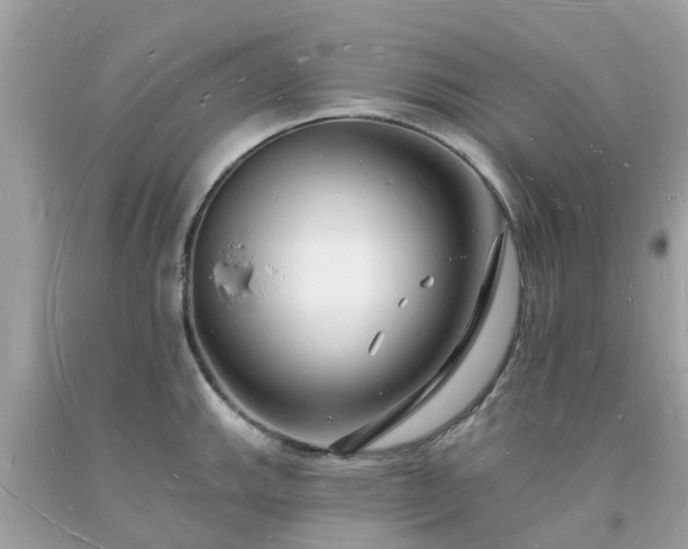 X0000093721143200710231127