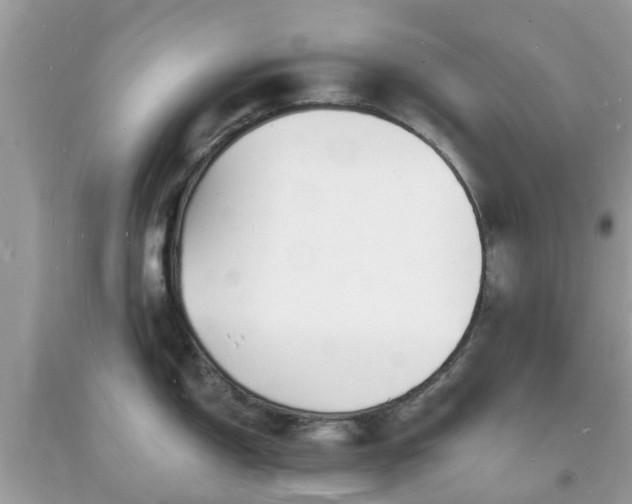 X0000093721150200710231127