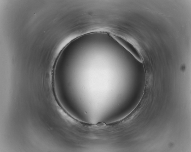 X0000093721151200710231127