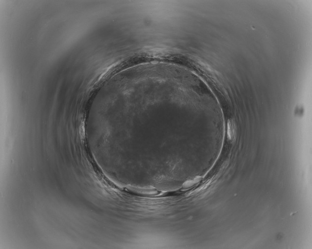 X0000093721155200710231126