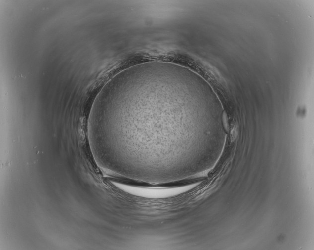 X0000093721156200710231126