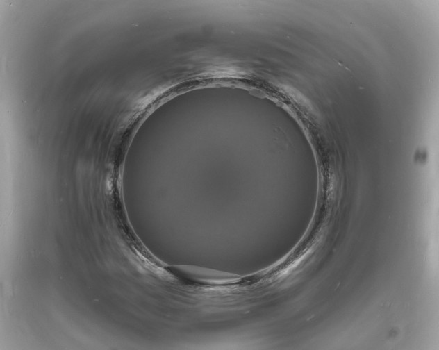 X0000093721161200710231126