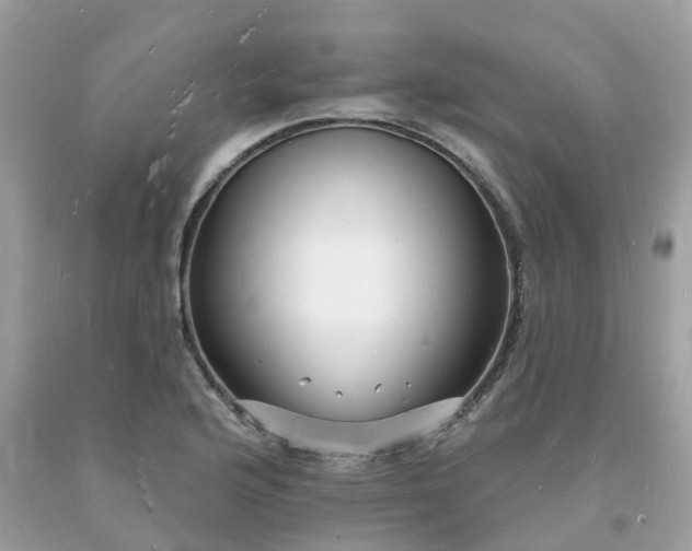 X0000093721176200710231126
