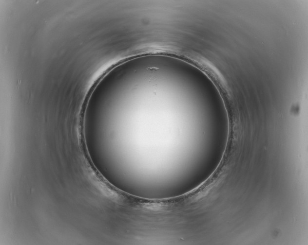 X0000093721182200710231126