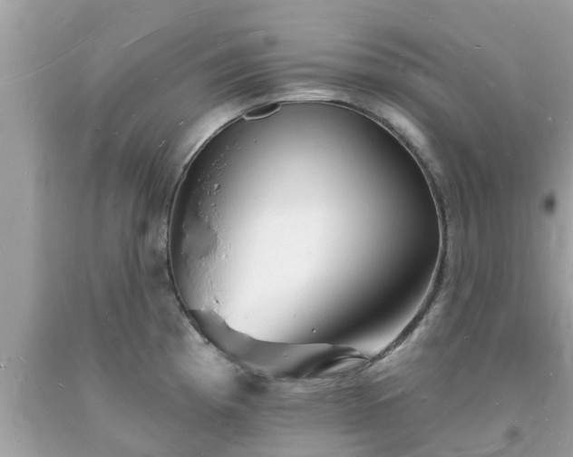 X0000093721193200710231126