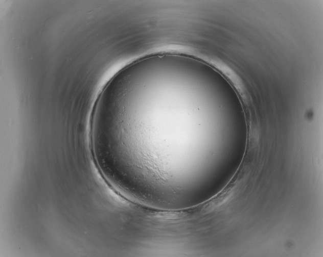X0000093721199200710231126