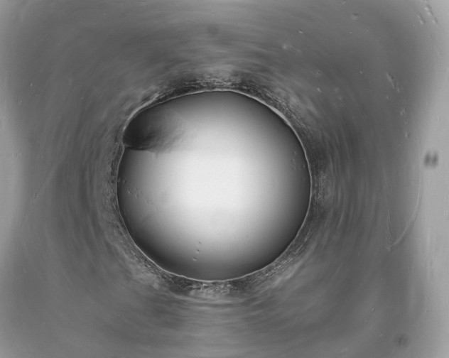 X0000093721201200710231125