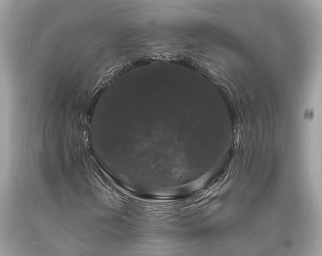 X0000093721202200710231125