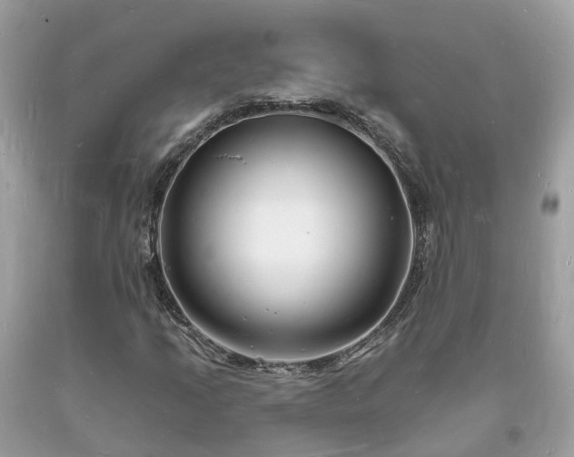 X0000093721205200710231125