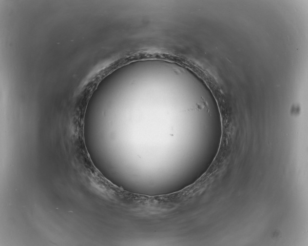 X0000093721207200710231125