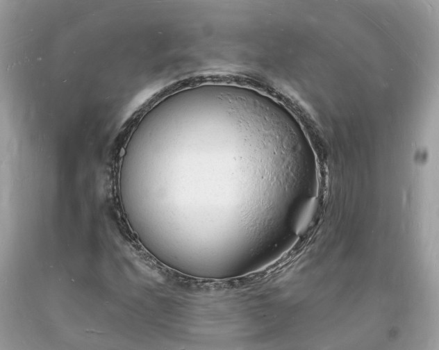 X0000093721208200710231125