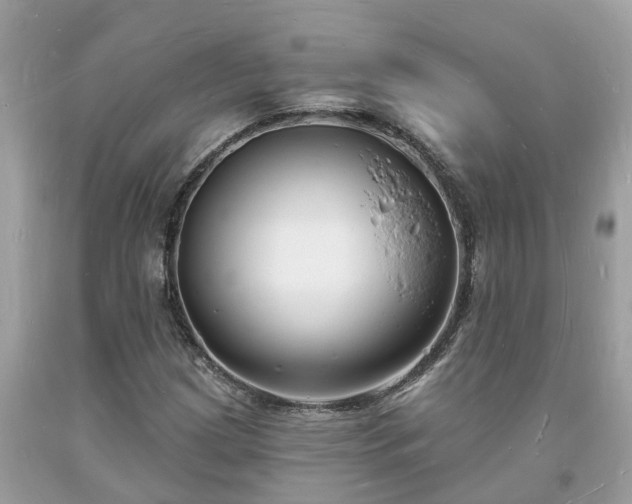 X0000093721209200710231125