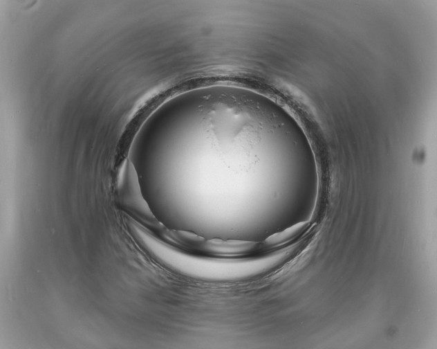X0000093721210200710231125