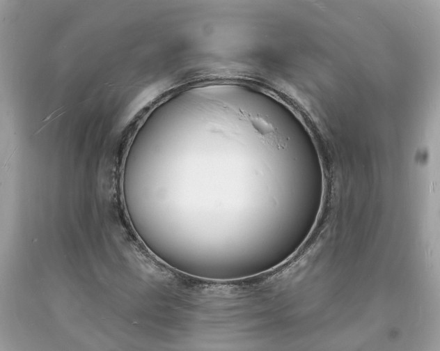 X0000093721211200710231125