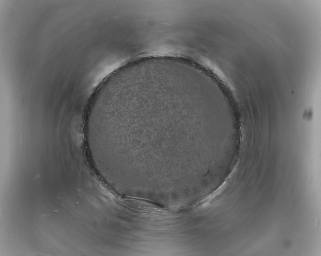 X0000093721213200710231125