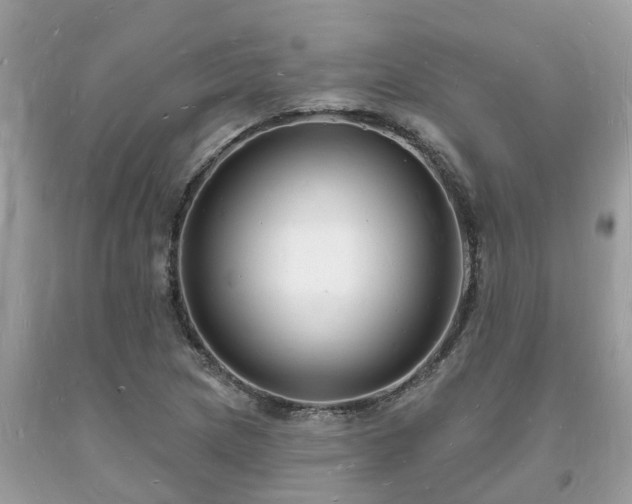 X0000093721217200710231125