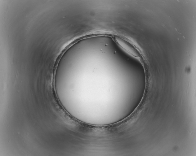 X0000093721220200710231125