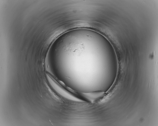 X0000093721225200710231125