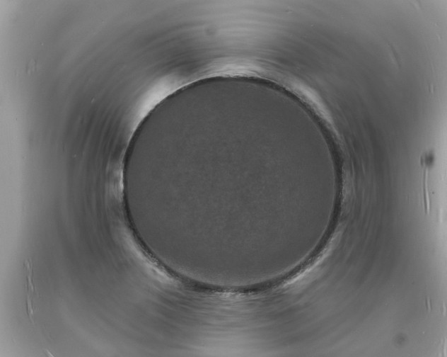 X0000093721226200710231125